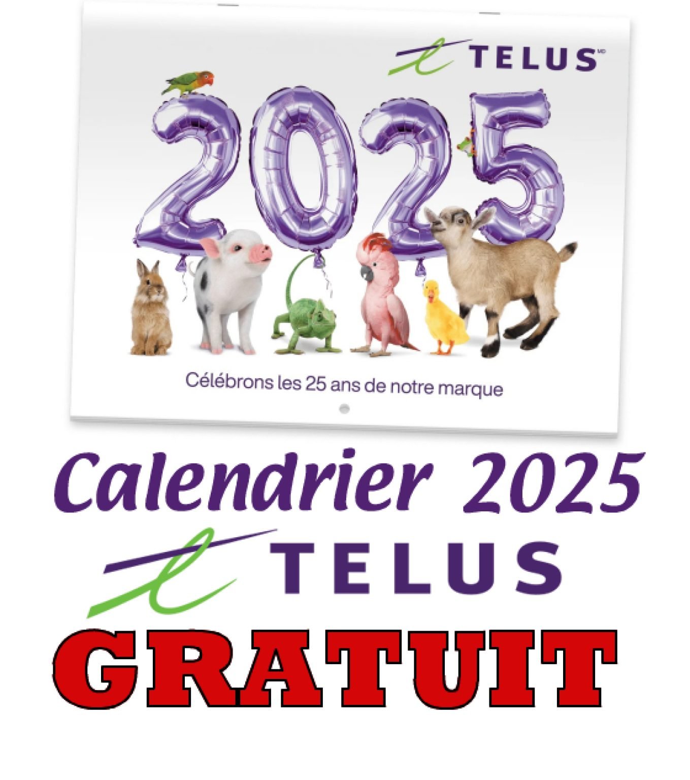 Obtenez votre calendrier TELUS 2025 gratuitement dès maintenant